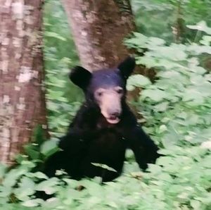 Meet your Posher, Sherry